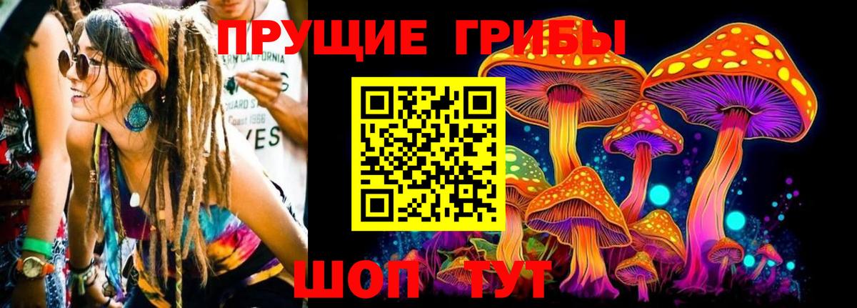 Галлюциногенные грибы Psilocybine cubensis  Псилоцибиновые грибы ЛСД  Вход с VPN  Майкоп 