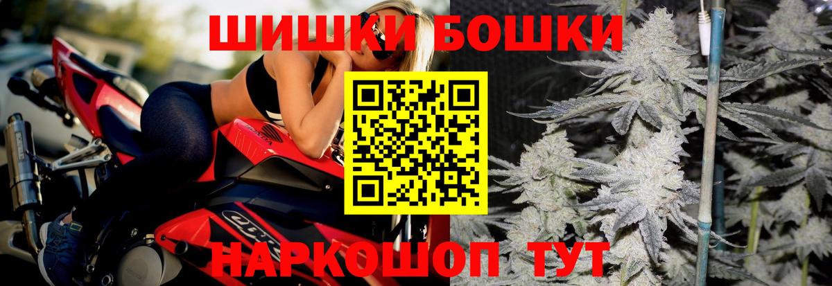 Майкоп  МАРИХУАНА OG Kush  Канабис планчик  Вход с VPN  Каннабис сатива 