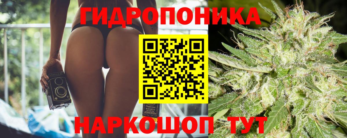 Бошки марихуана индика Майкоп